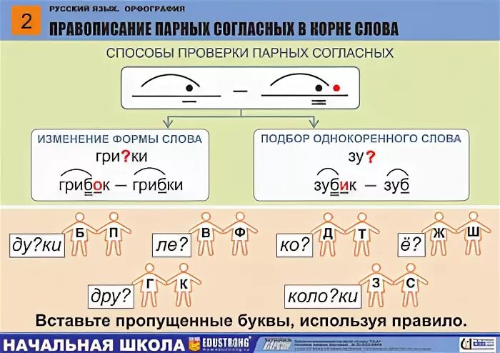 В ф в корне слова. Слова на правило парные согласные в корне слова. Орфограмма парный согласный. Орфограмма парная согласная. Орфограмма парная согласная в корне слова.