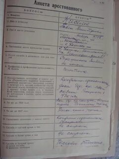 Социальное происхождение в анкете что писать