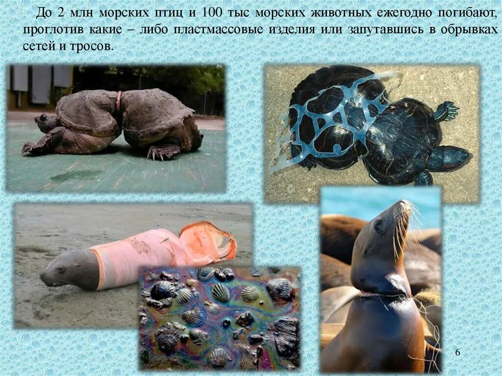 Пласт чего либо лежащий