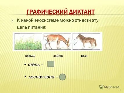 Составь схему цепи питания характерную для