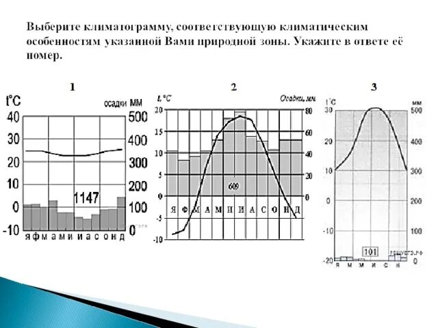 Климатические пояса впр 7 класс география. Климатограммы климатических поясов 7 класс ВПР. Климатограммы климатических поясов ВПР. Климатограммы климатических поясов 7 класс задания.