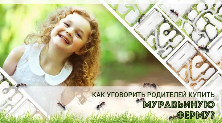 Как уговорить родителей ехать. Как уговорить родителей ехать