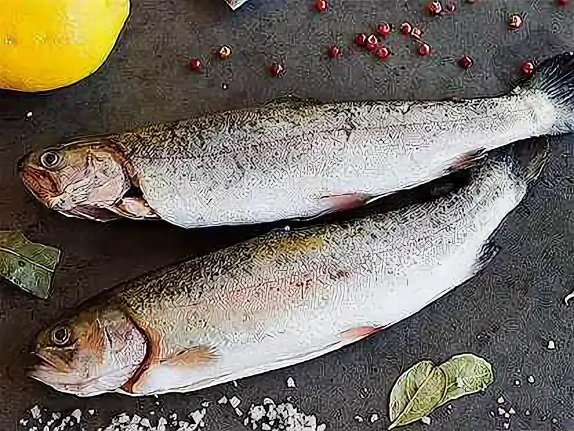 Форель 300. Форель 1кг пбг. Форель 200-250 гр. Форель рм подкопченная 300г. Отпуск рыбалка.