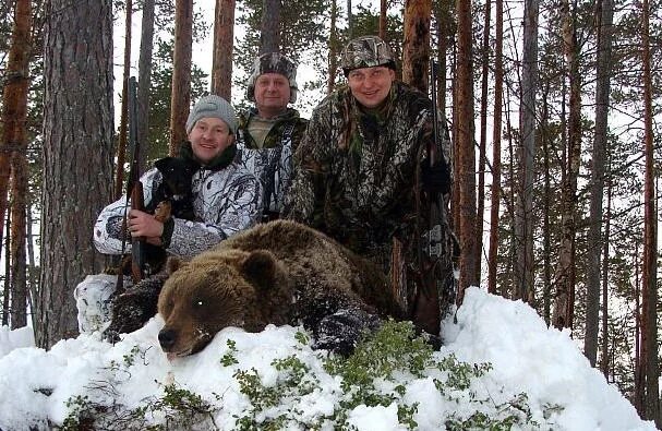 Охота на берлоге на медведя 2022. Охота медведь Берлога собаки. Охота на медведя с подхода. Берлога охотника