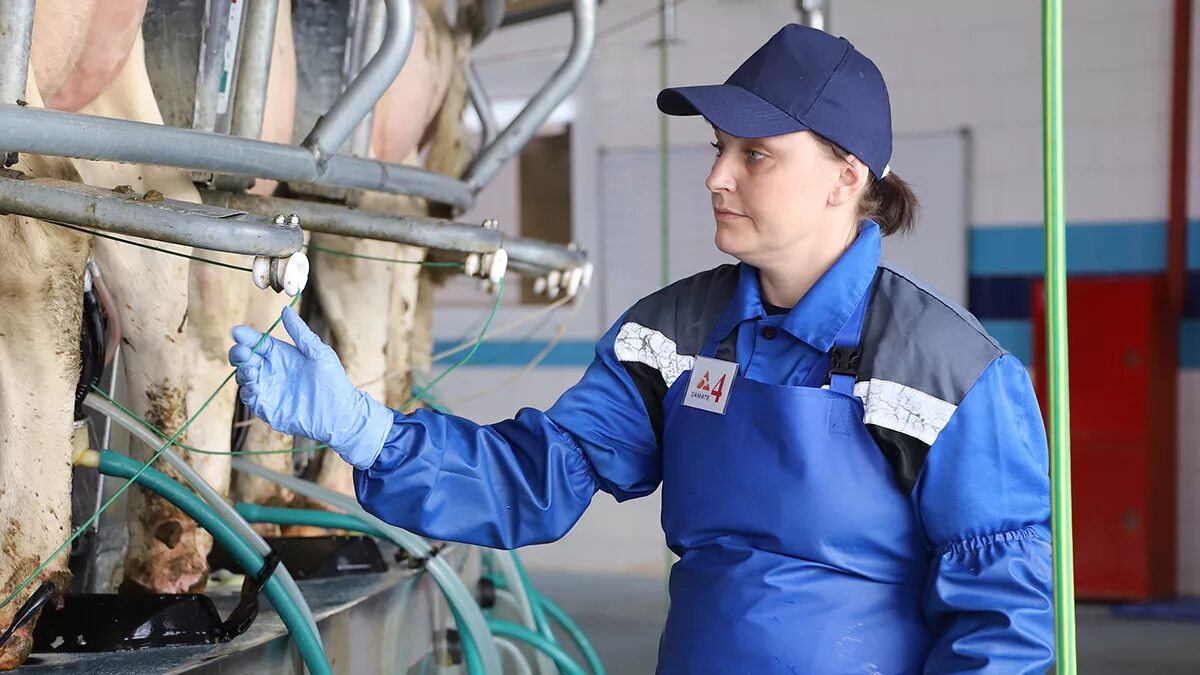 Голышманово магазины. Вакансии голышманово. Продавец в деревне. Агропедколледж голышманово. Школа искусств голышманово.