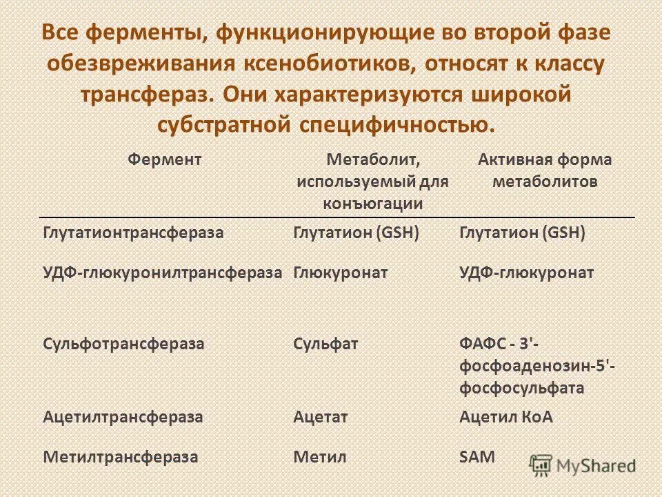 Активная форма фермента. Во второй фазе обезвреживания ксенобиотиков. Изофункциональные ферменты глутатионтрансферазы. Глутатион трансфераза функции. Ферменты участвующие в развитии инфекционного процесса.