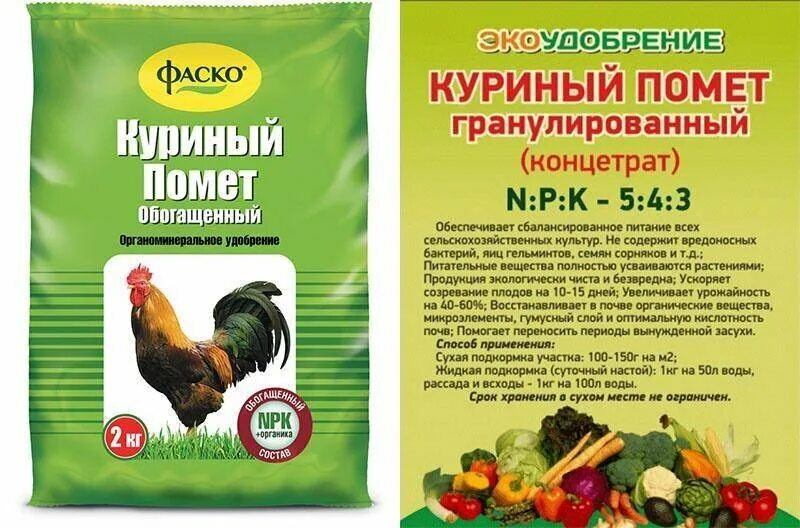 Цеплешь