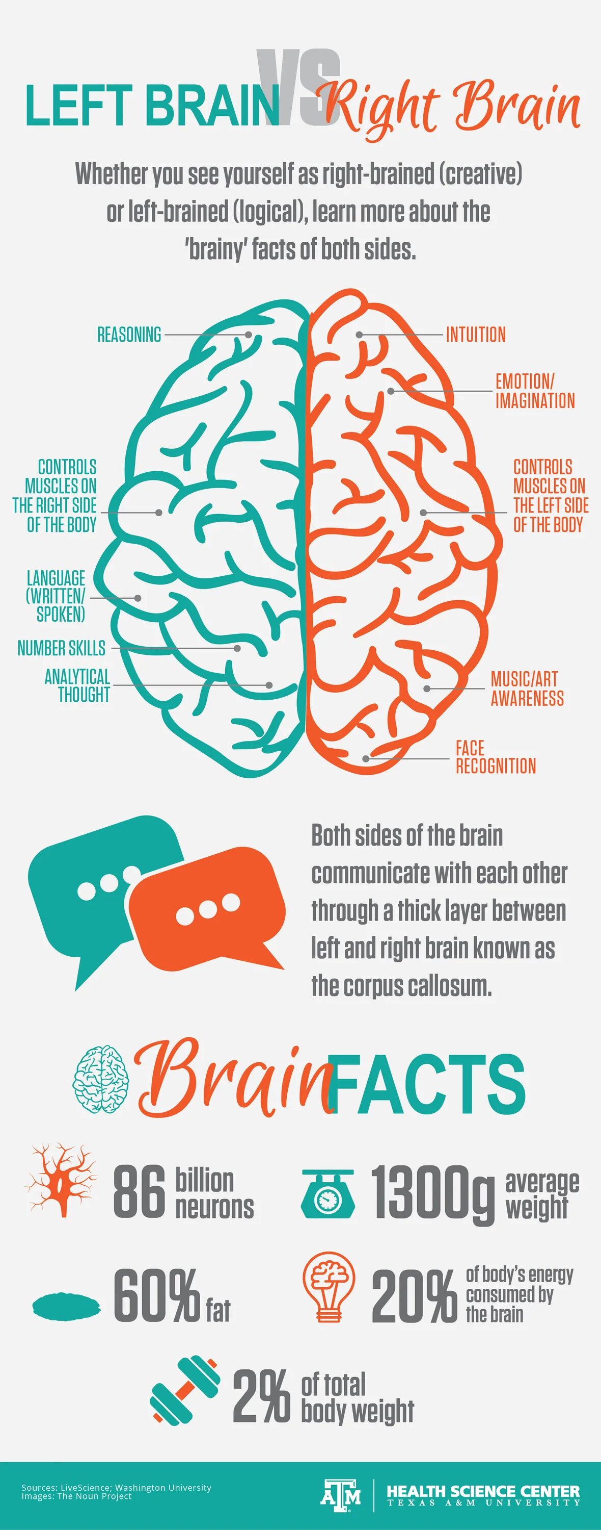 Leave the brain. Left Brain. Right Brain. Brainy Baby left Brain логотип.