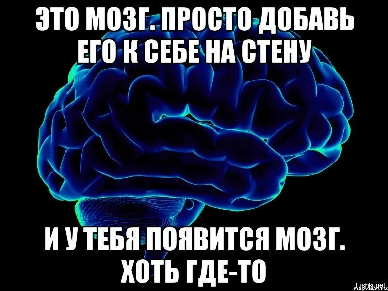 Мозг ум. Цитаты про мозги. Цитаты о людях без мозгов. Мозг надпись картинка