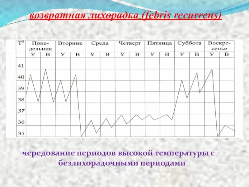 Построение температурной кривой алгоритм