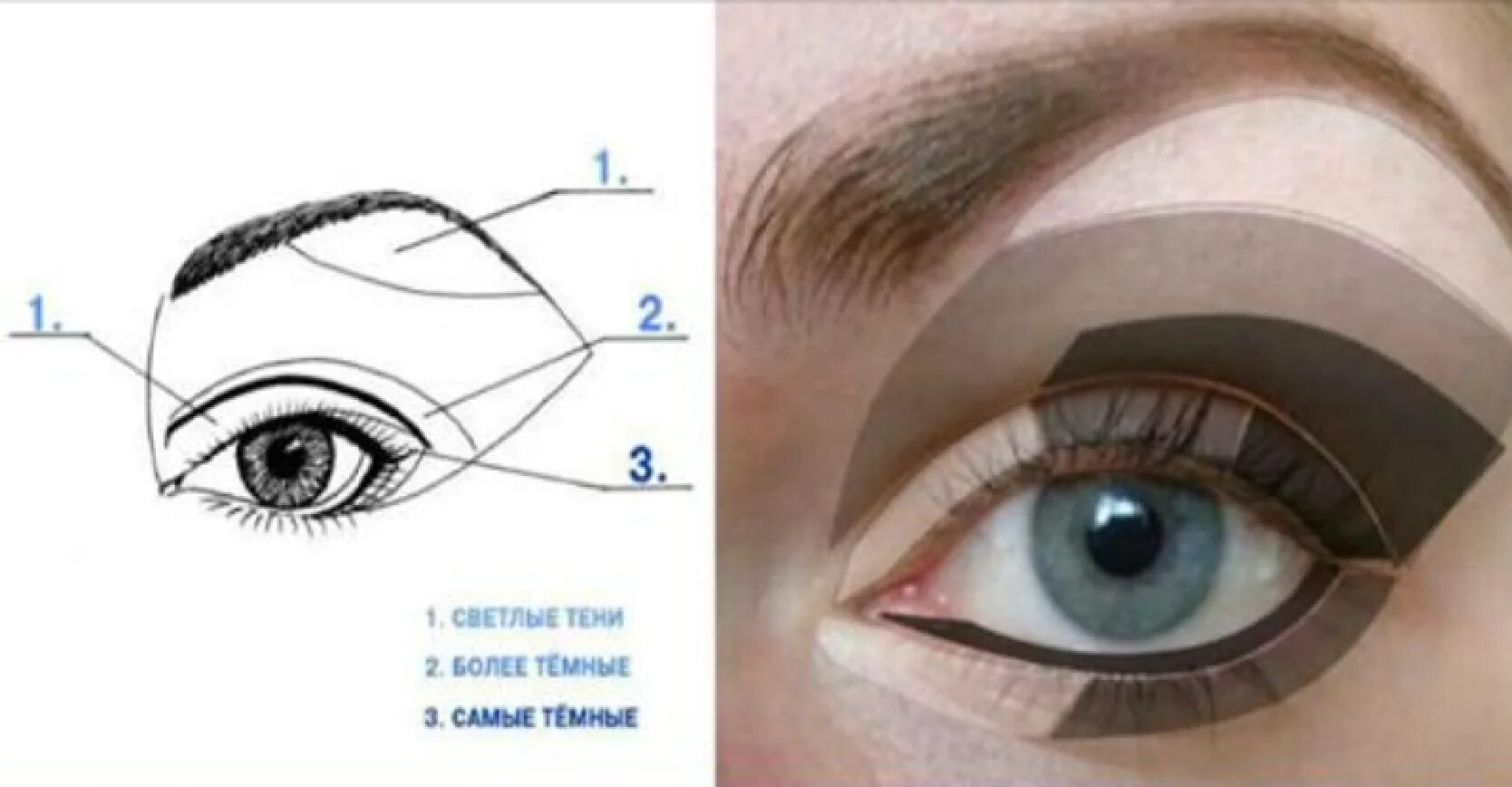 Веки 1 2. Схемы макияжа глаз для нависшего века. Схема макияжа глаз для начинающих. Растушевка теней схемы. Схема нанесения теней на глаза.