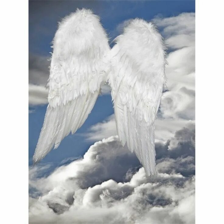 Ангел на фоне неба. Ангел с крыльями в небе. Облако в форме птицы. Крылья ангела. Крылья ангела в облаках.