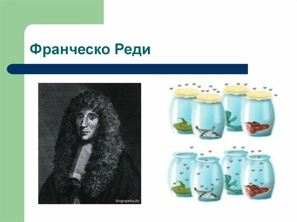 Какие опыты показали невозможность самозарождения. Учёный Франческо реди. Франческо реди итальянский врач. Франческо реди 1626 -1698. Франческо реди гипотеза.