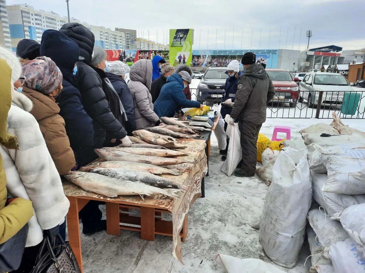 Якут рыба. Ярмарка рыбы. Рыбная ярмарка Якутии. Ярмарка рыба Якутии. Якутский рыбный завод.