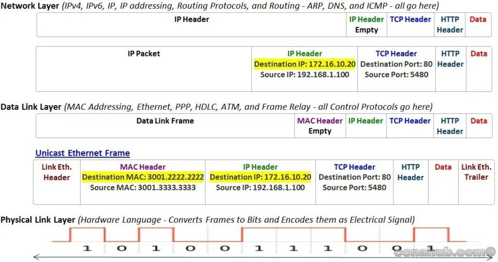 Структура пакета Ethernet TCP/IP. Заголовок Ethernet. Ethernet фрейм. Frame header.