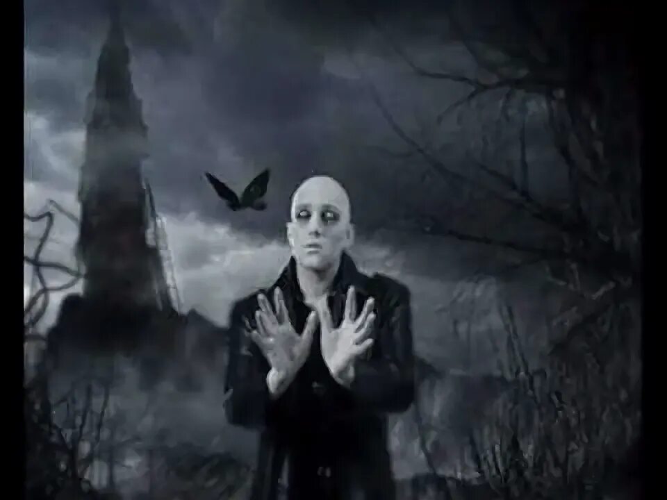 Asp фото. Немецкая группа asp. Песни asp. Asp вокалист. Александер «asp» франк шпренг.