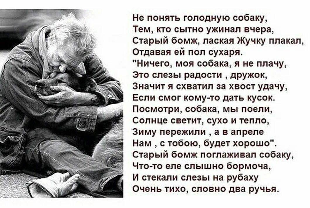 Доброта и любовь цитаты. Трогательные высказывания. самые трогательные высказывания. стихи душевные до слез. красивые трогательные цитаты.