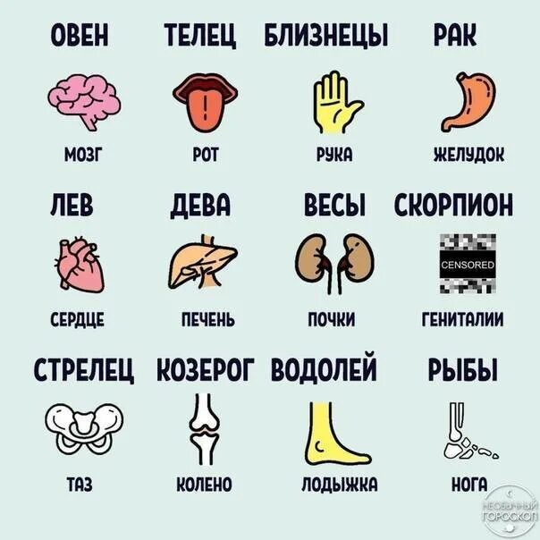Какие знаки самые сильные. Знаки зодиака. гороскоп по знакам. гороскоп по знакам зодиака.