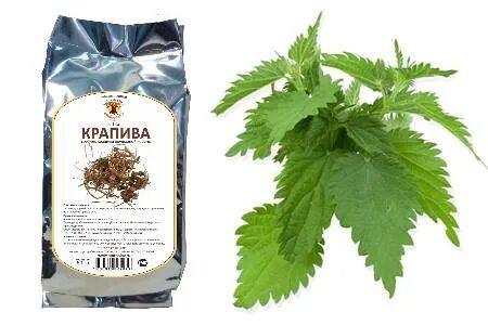 Крапива для мужчин