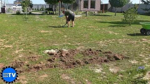 Хожу в дачу
