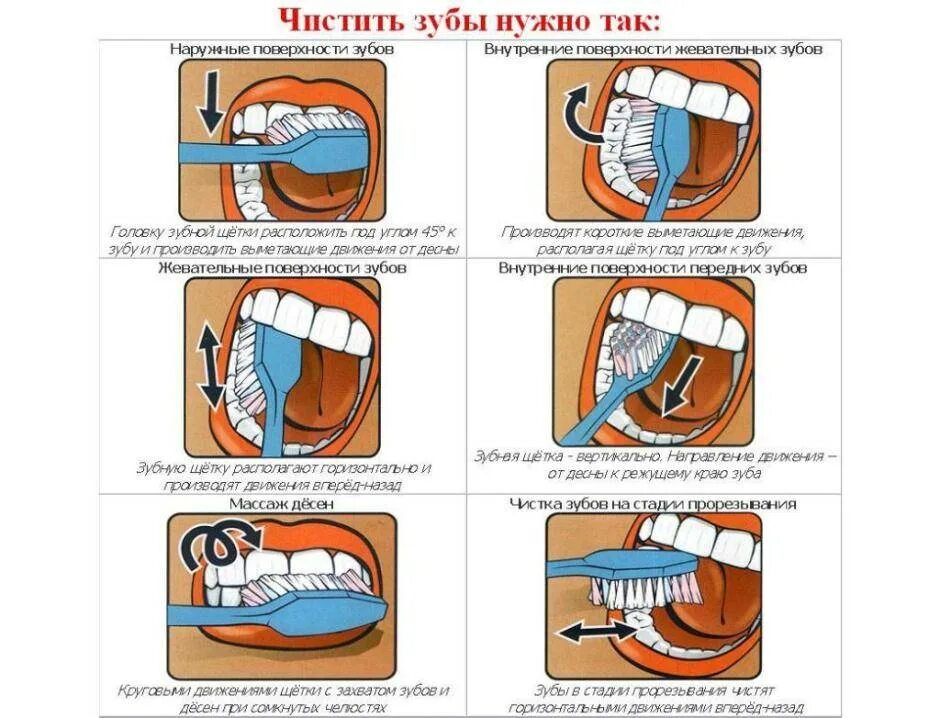 Как правильно чистить зубной щеткой. Последовательность чистки зубов. схема чистки зубов. стандартный метод чистки зубов схема. памятка как правильно чистить зубы.