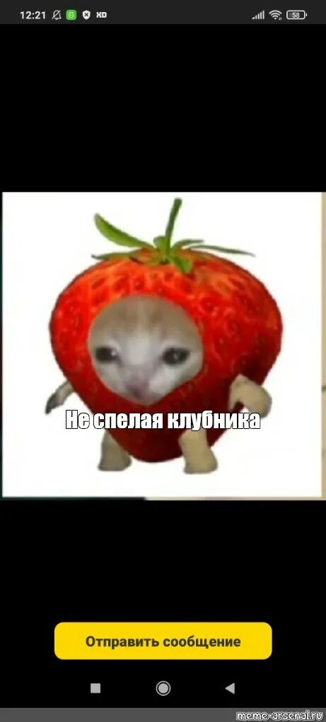 Кот с яблоком на голове мем meperdonas meperd0nas 305068910258211 by @lightyoonseok in 2023 Banana funny, Ca