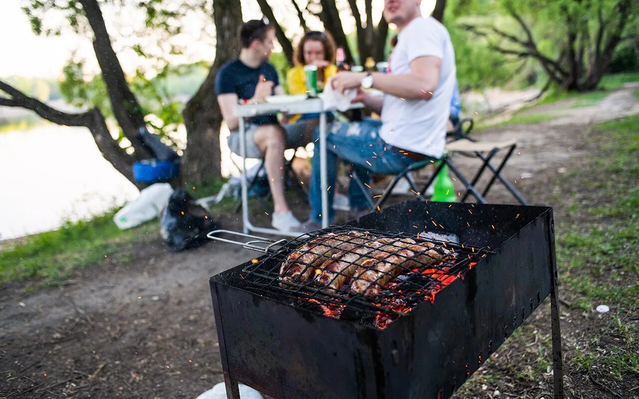 Можно жарить шашлык во дворе частного дома. Мангал на природе. Шашлыки на природе. Шашлык на мангале. Шашлык на мангале на природе.