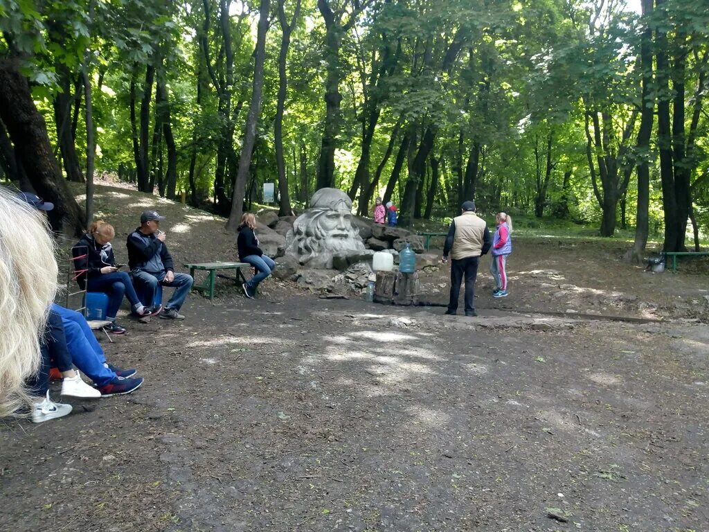 Родники петрозаводск. Родник серебряный Саратов. Родник на 5 дачной Саратов. Родник на 4 дачной Саратов. Родник серебряный Саратов голова.