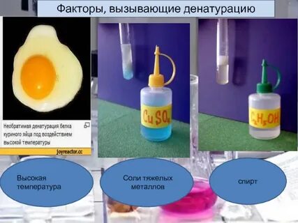 Денатурация белка кислотой