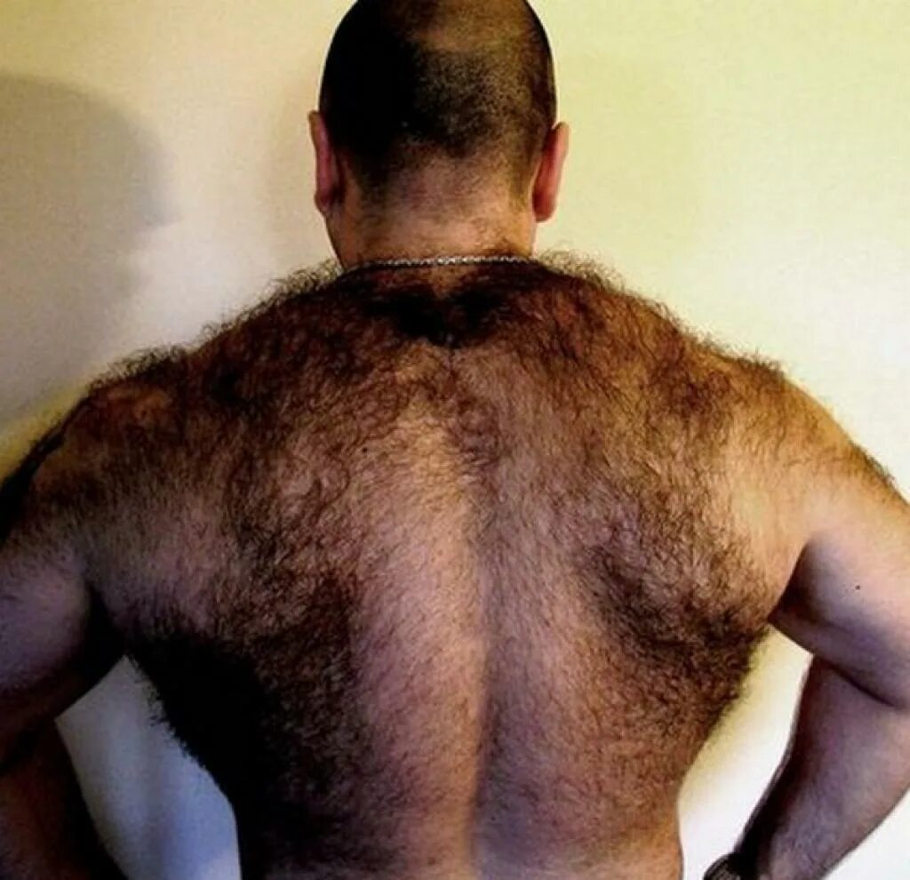 волосатый перевод