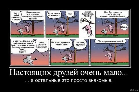 Тебе меня мало я настоящий