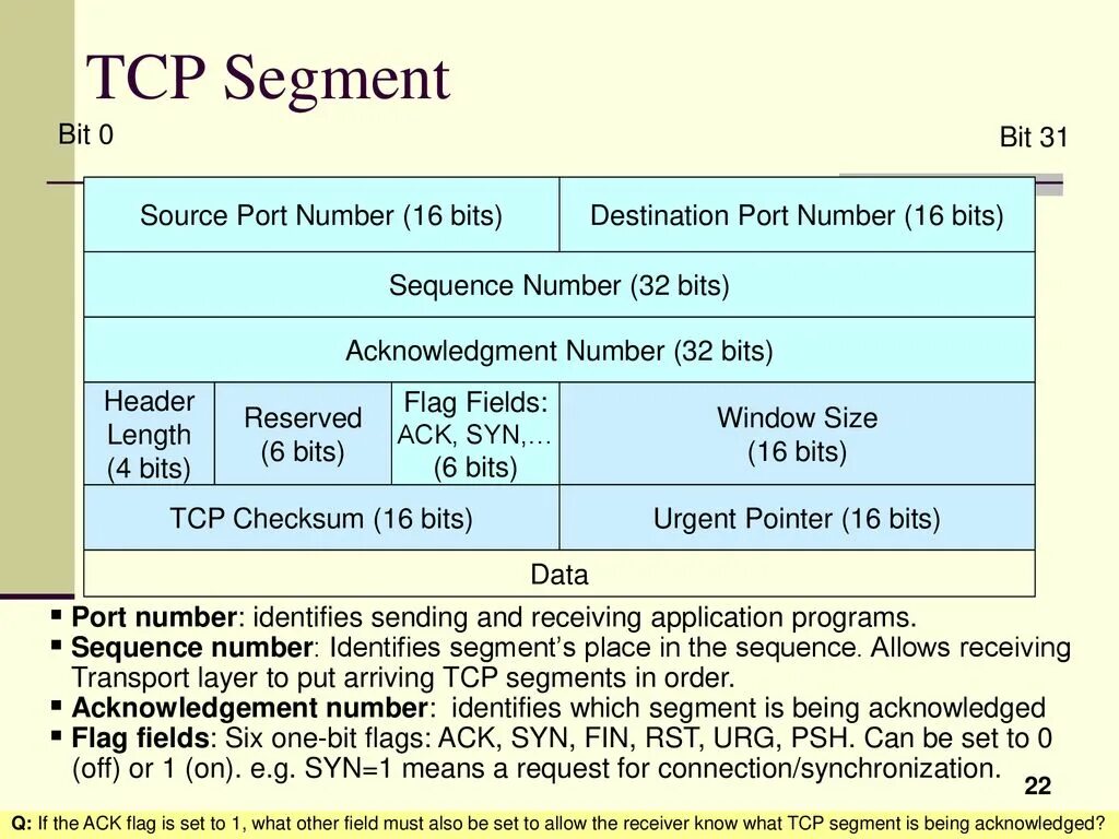 A bit more перевод. TCP segment. TCP/IP segment. TCP fin бит. Формат TCP сегмента.