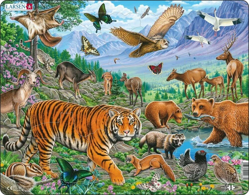 В лесу много животных