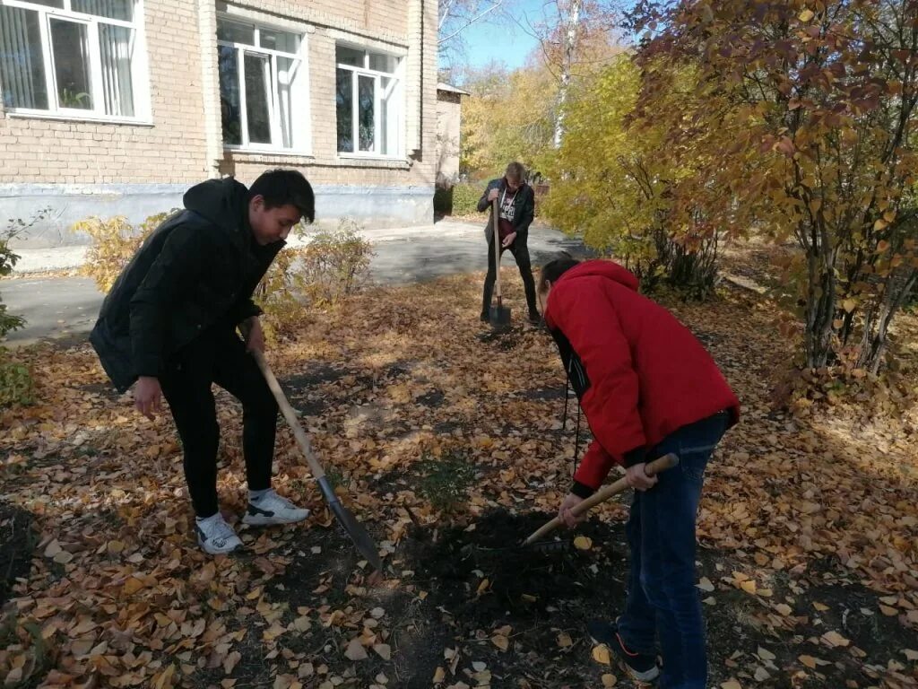 Природоохранное добровольческое движение. Круг жизни саженцы. Экологическое движение в михайловке в колледже. Экологическое движение ока. Экологическое движение «мусора.