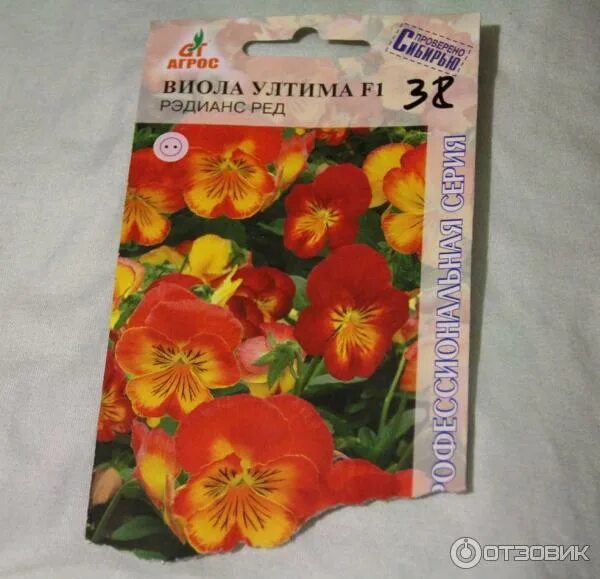 редис краса алтая агрос. семена фирмы агрос новосибирск. семена фирмы агрос новосибирск. капуста б/к атрия агрос (шт. томат агрос хит.