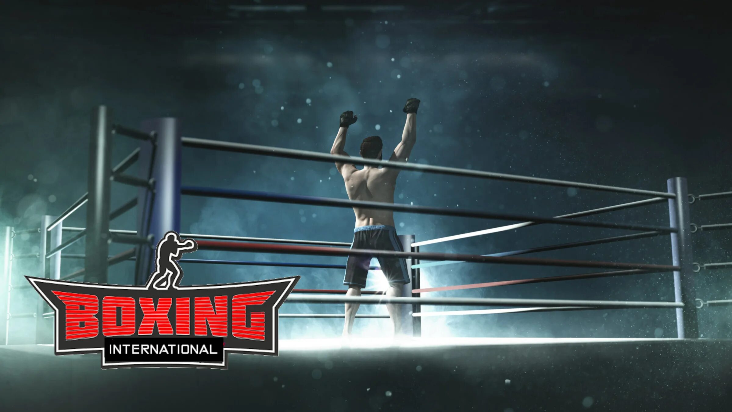 Nintendo boxing. International boxing игра. нинтендо свитч бокс. нинтендо бокс игра. дс бокс.