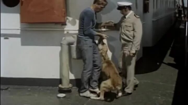 Солёный пёс 1973. Соленый пес 1973. Соленый пес 1973. Меньшов соленый пес. Соленый пес 1973.