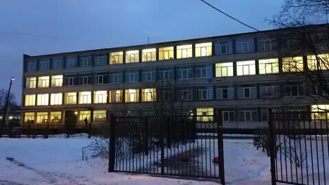 Гимназия 248