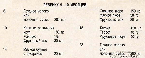 Примерный рацион питания ребенка в 9 месяцев. Меню малыша в 9 месяцев на искусственном вскармливании. Рацион кормления ребенка в 9 месяцев. Меню 9 месячного ребенка на искусственном вскармливании. Что можно ребенку в 9 месяцев кушать