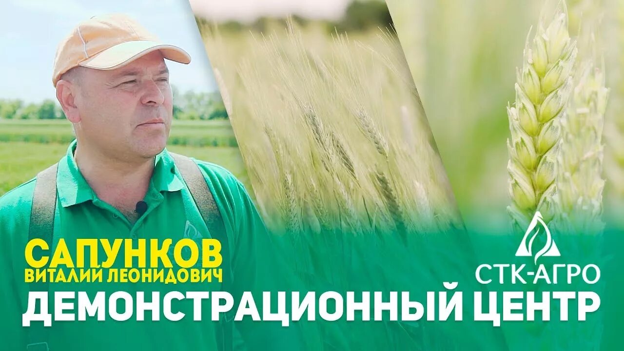 Аст агро. Павел Ильяшенко СТК Агро. ООО "СТК-Агро". СТК Агро Волгоград. СТК Агро Волгоград директор.