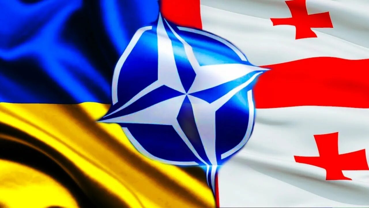 НАТО Украина Грузия. Флаг Украины и НАТО. НАТО Грузия 2005. Флаг НАТО Грузия.