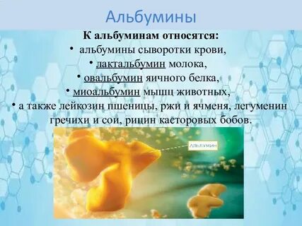 Яичный белок какие аминокислоты