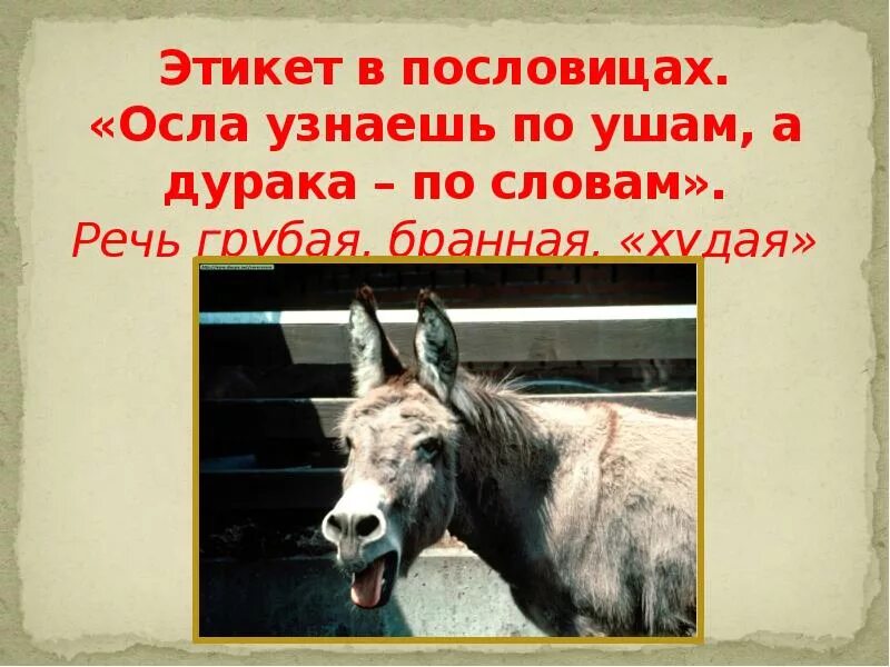 Не бойся работы пословица. Поговорка про осла. Пословица про ослика. Статус про осла. Осла узнаешь по ушам поговорка.