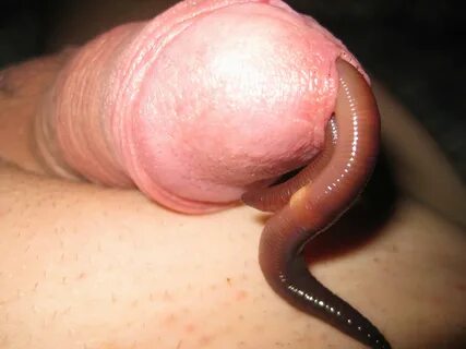 червь. червь porn. червь worm. червь Slideshow. 