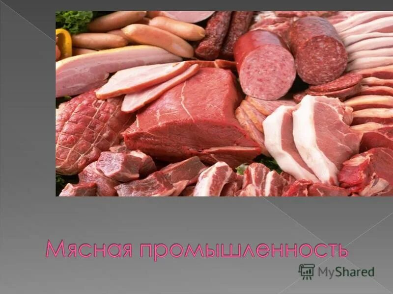 Пищевая промышленность юга россии. Мясная промышленность. Мясная промышленность презентация. Отрасли мясной промышленности. Мясная промышленность промышленность.