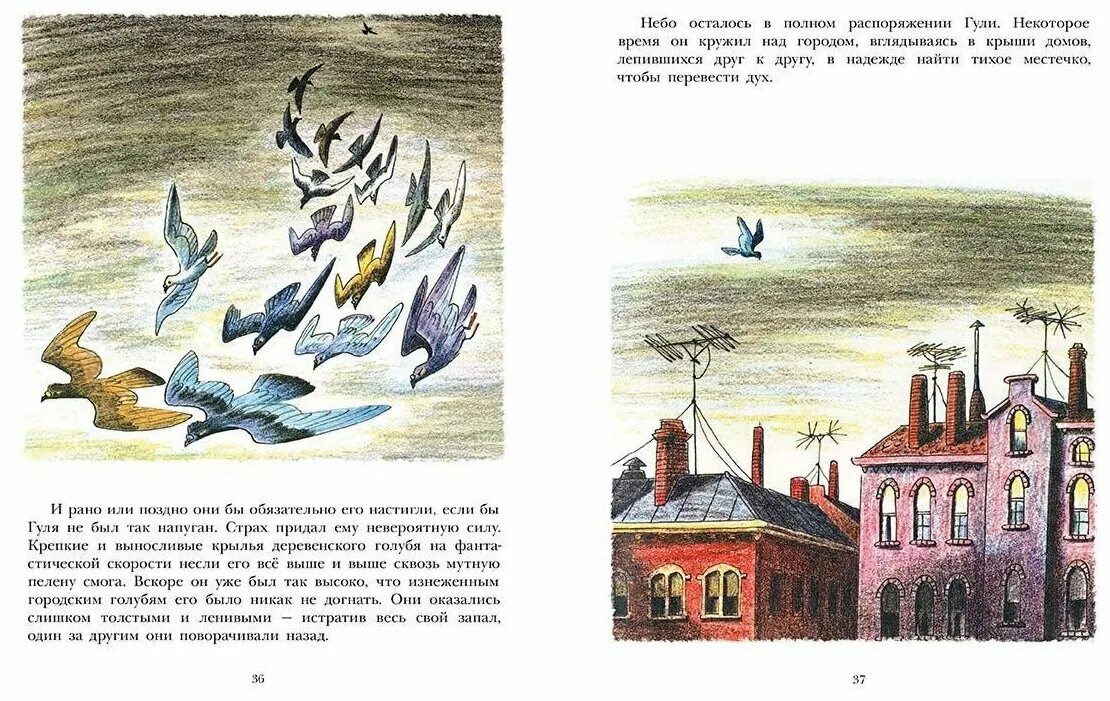 Берберийский голубь. Голуби улетели. Wild geese fly south. Гули летают. Гули гули голуби.