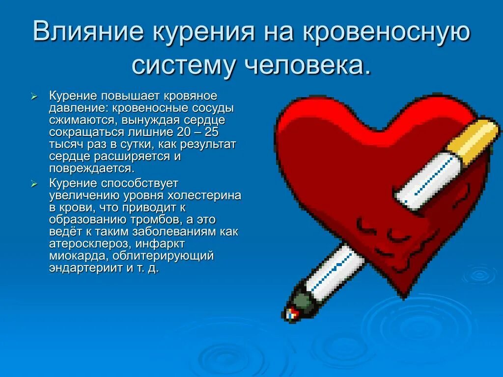 Влияние курения на кровеносную систему. Влияние табака на кровеносную систему. Сердце и вредные привычки. В сердце раны в легких никотин