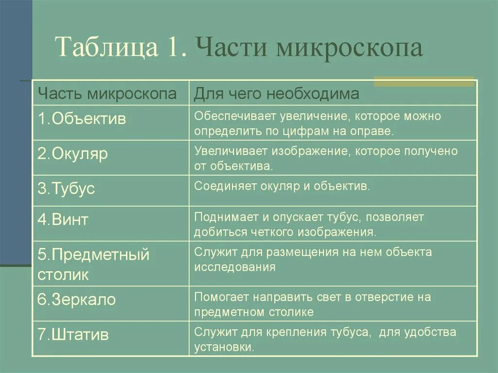 Части микроскопа выполняют функции тубус