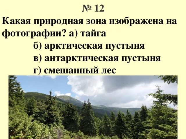 Какая природная зона изображена на картинке