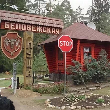 маршруты велосипедные в беловежской пуще. белый лесок. 5 мм. белый лесок. белый лесок.